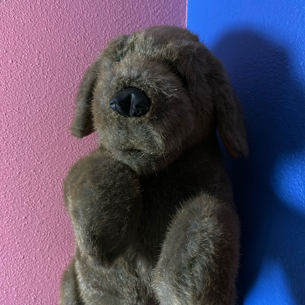 Folkmanis Brown Dog Full Body Hand Puppet Plush Sitting Begging